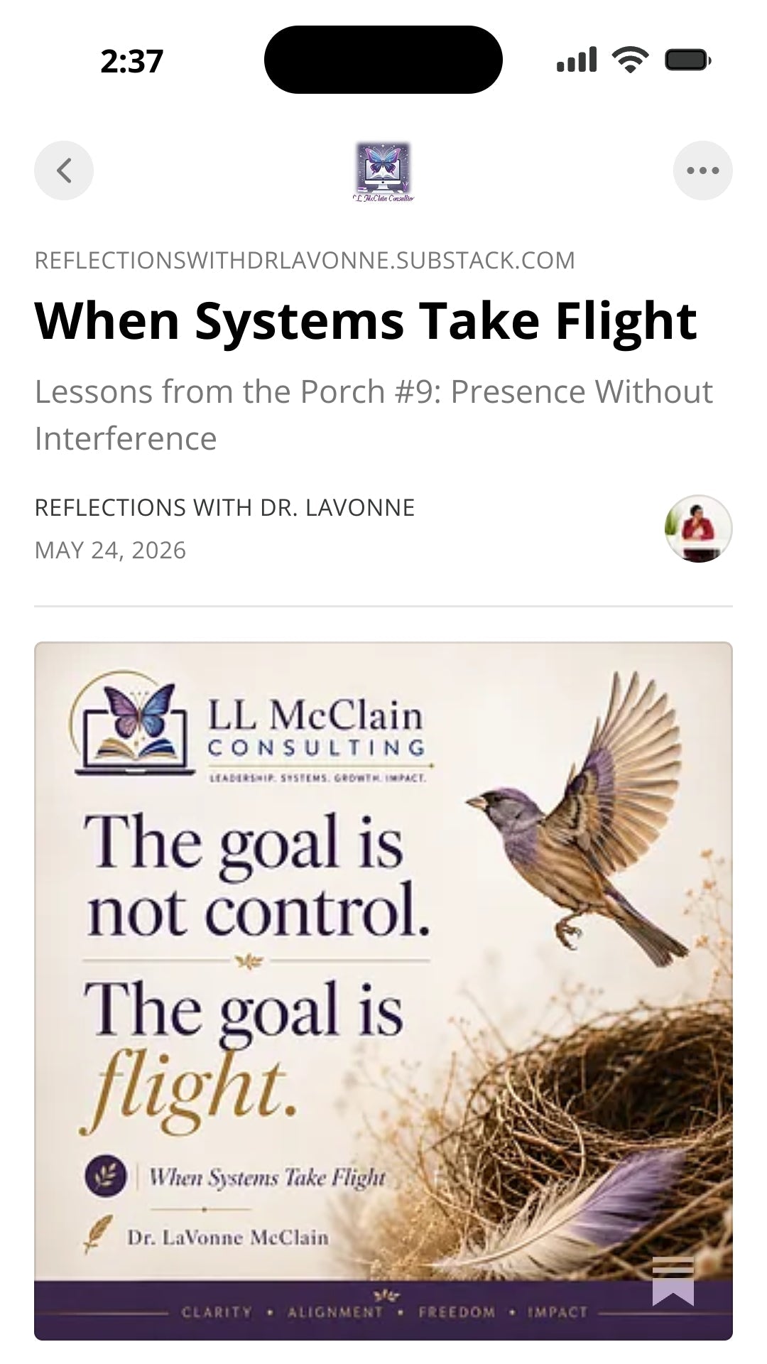 When Systems Take Flight
