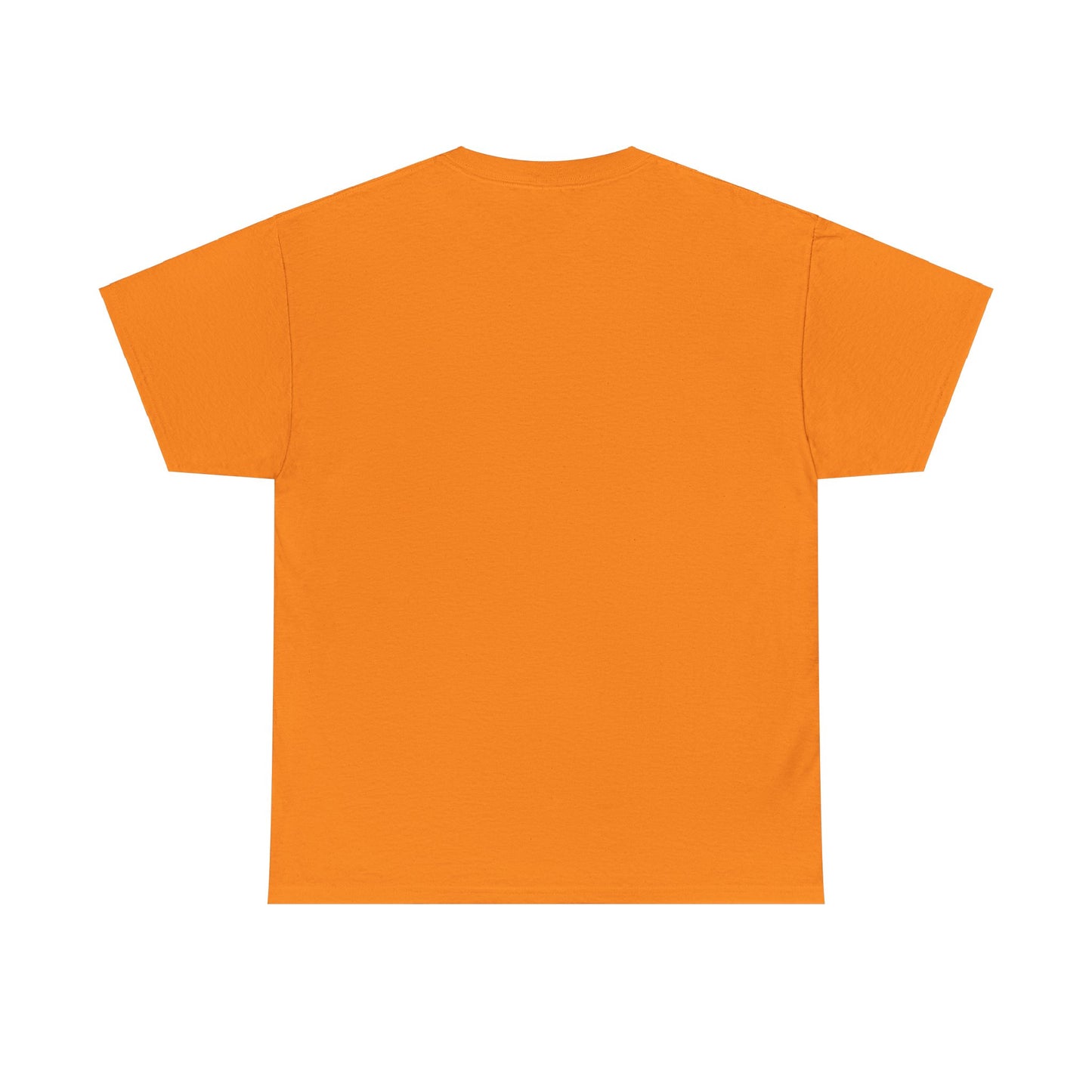 HCS Curriculum and Instruction: Lighting the Way to Achievement Cotton Tee 2
