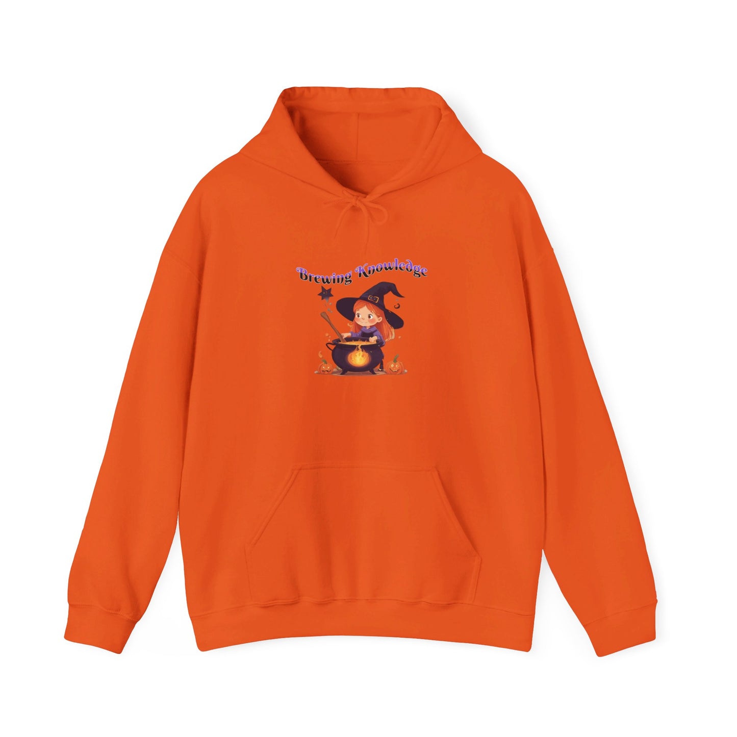 Brewing Knowledge 2 Heavy Blend™ Hooded Sweatshirt