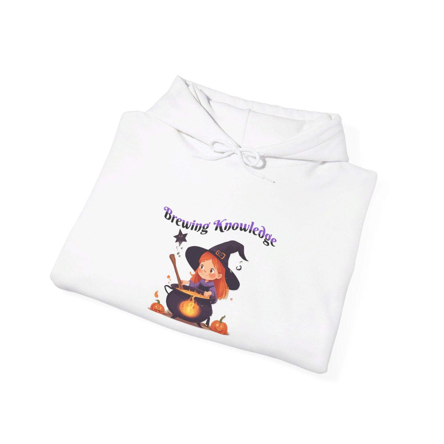 Brewing Knowledge 2 Heavy Blend™ Hooded Sweatshirt