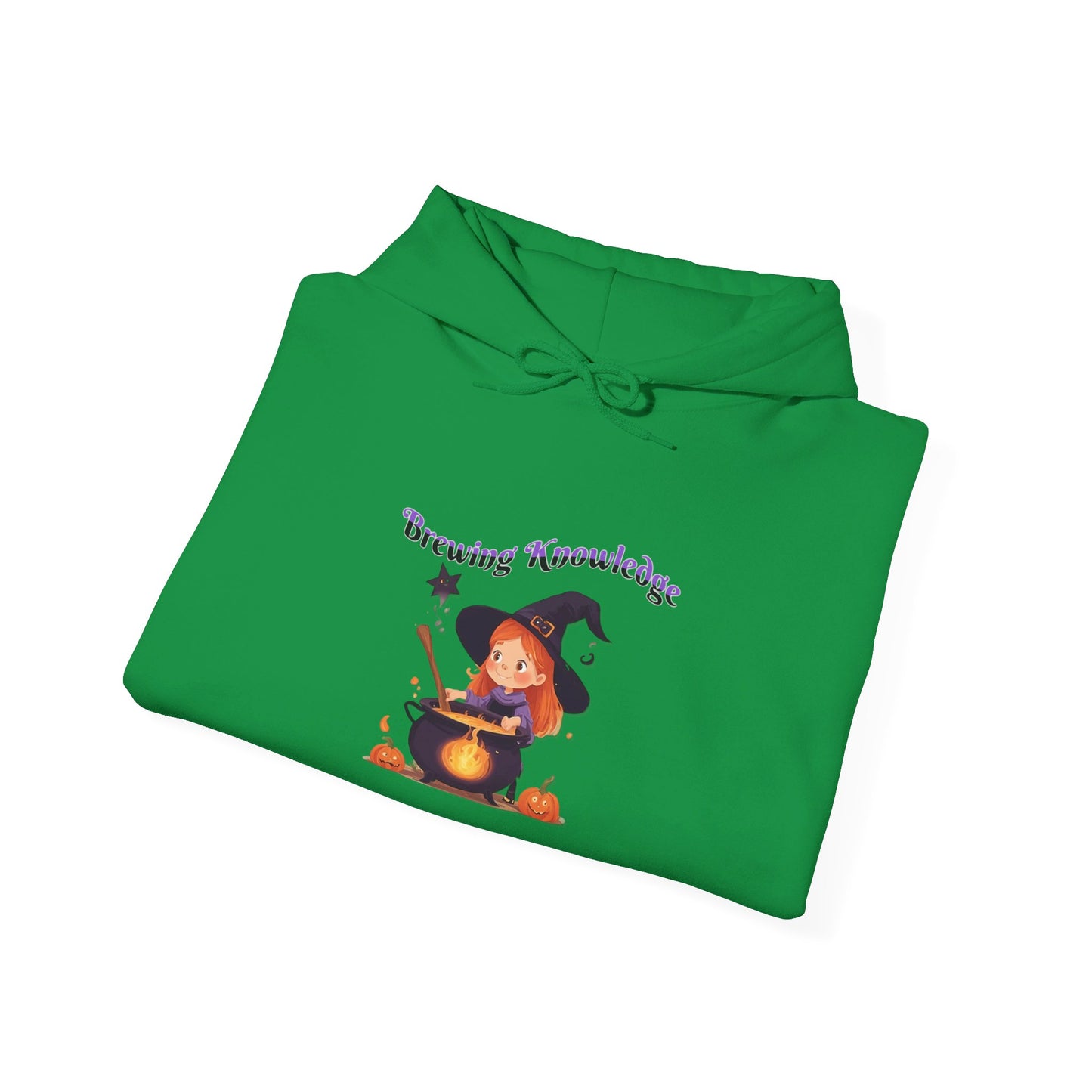 Brewing Knowledge 2 Heavy Blend™ Hooded Sweatshirt