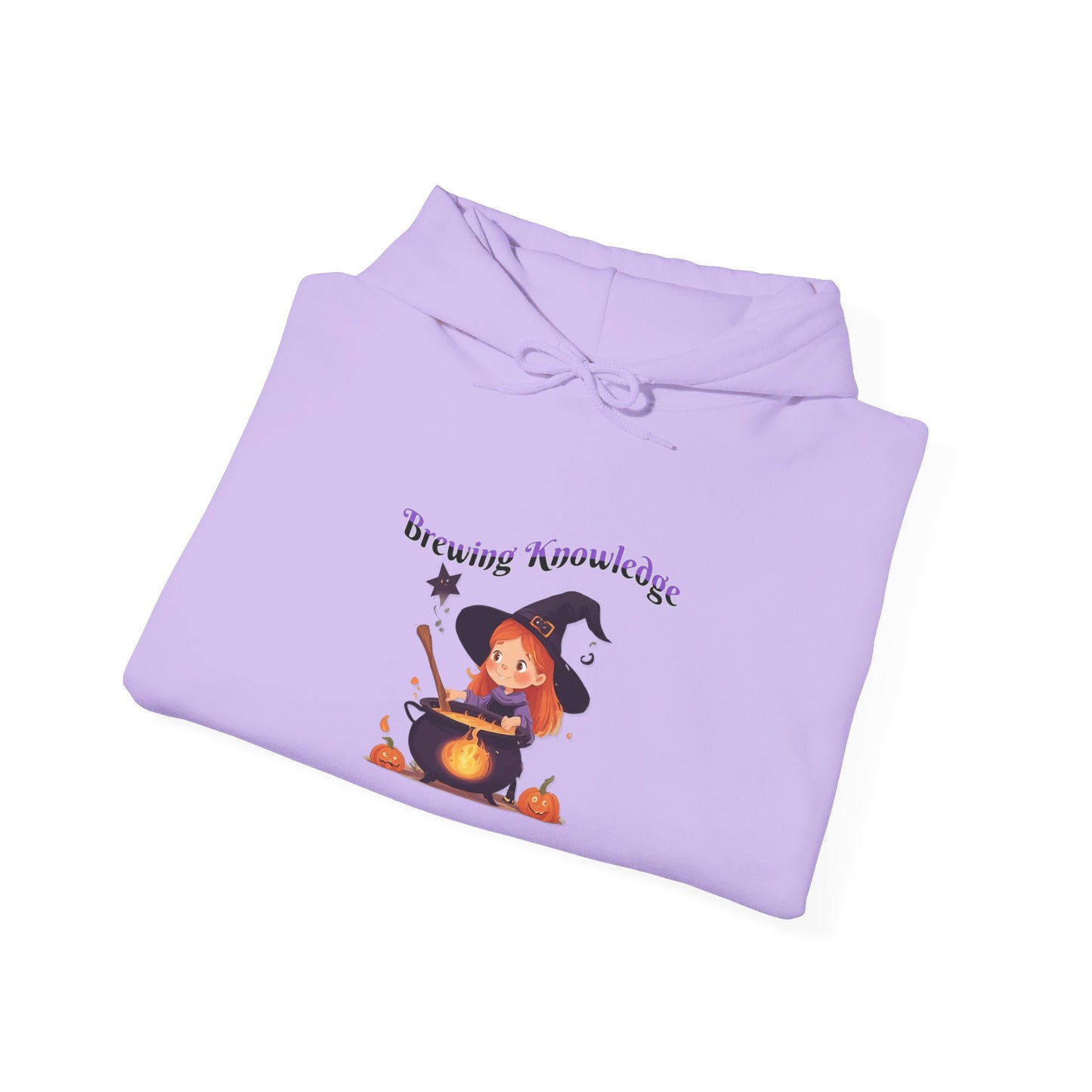Brewing Knowledge 2 Heavy Blend™ Hooded Sweatshirt