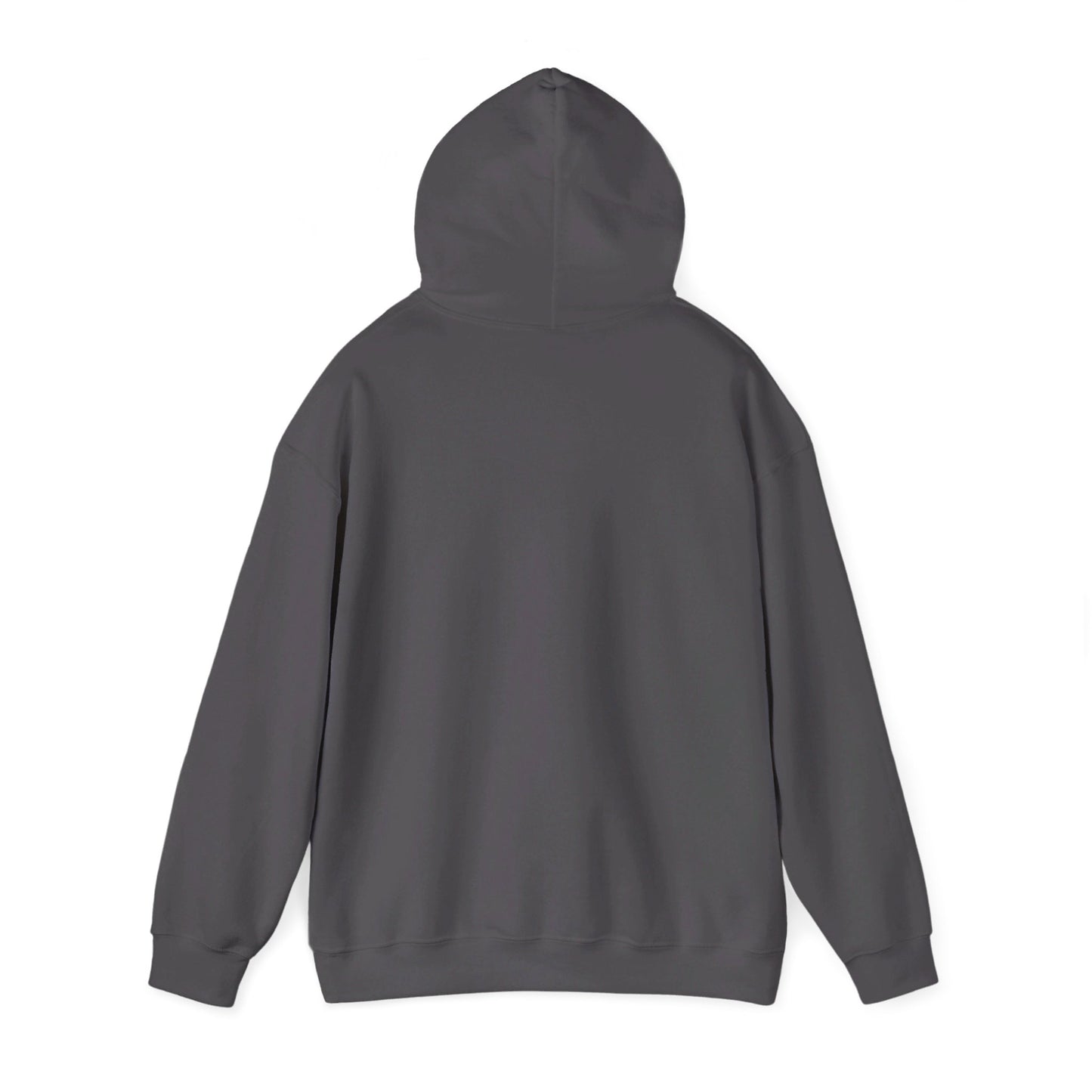 Igniting Minds Heavy Blend™ Hooded Sweatshirt
